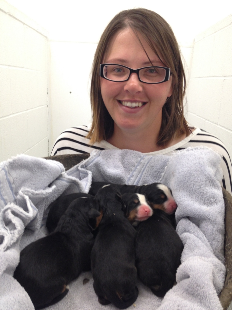 Staff Member Holding a Litter of Puppies
