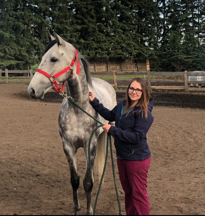 emergency vet red deer