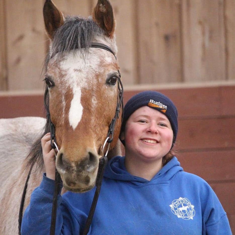 Staff Member in Blue Hoodie With a Brown Horse
