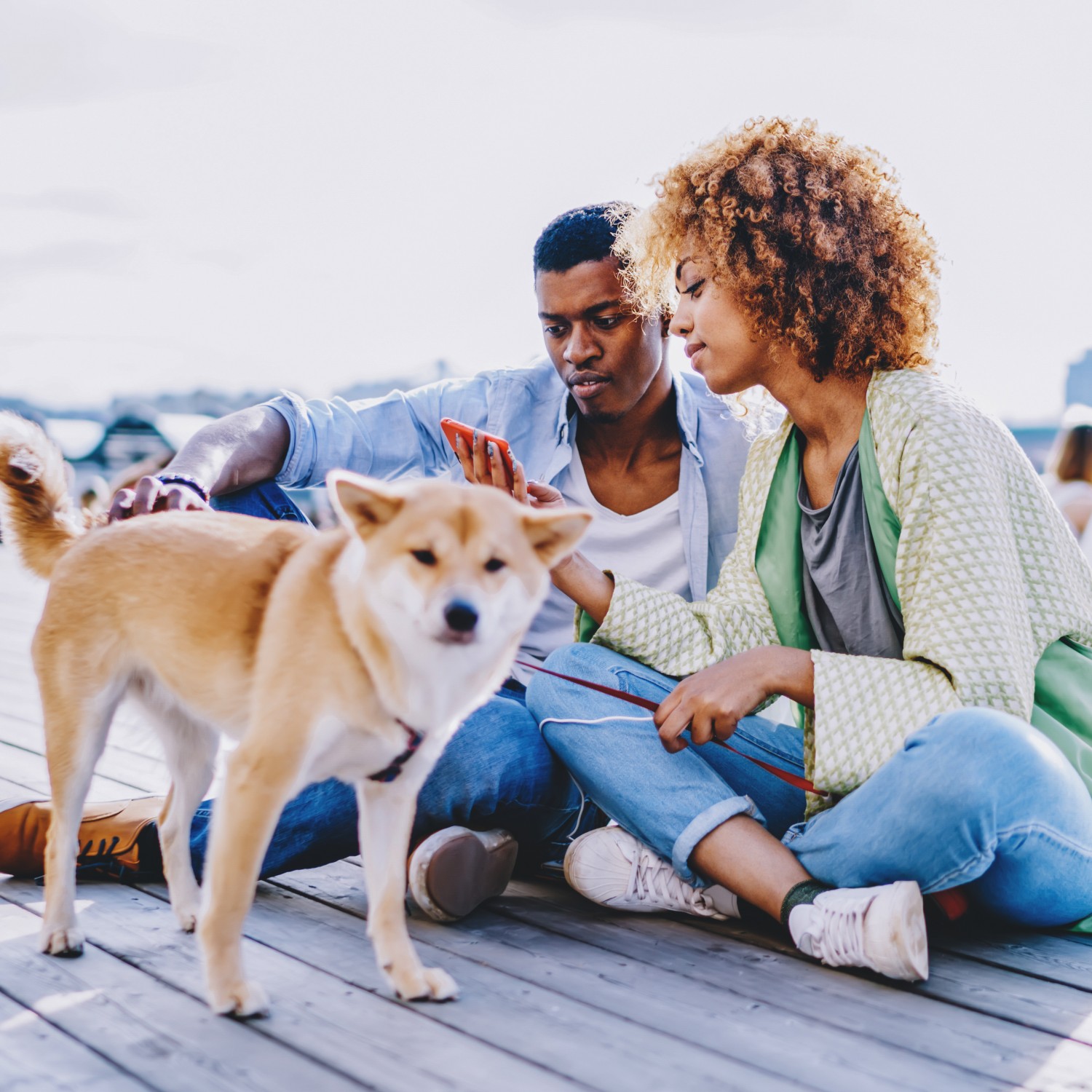 Man and Woman Viewing Phone With Tan Dog