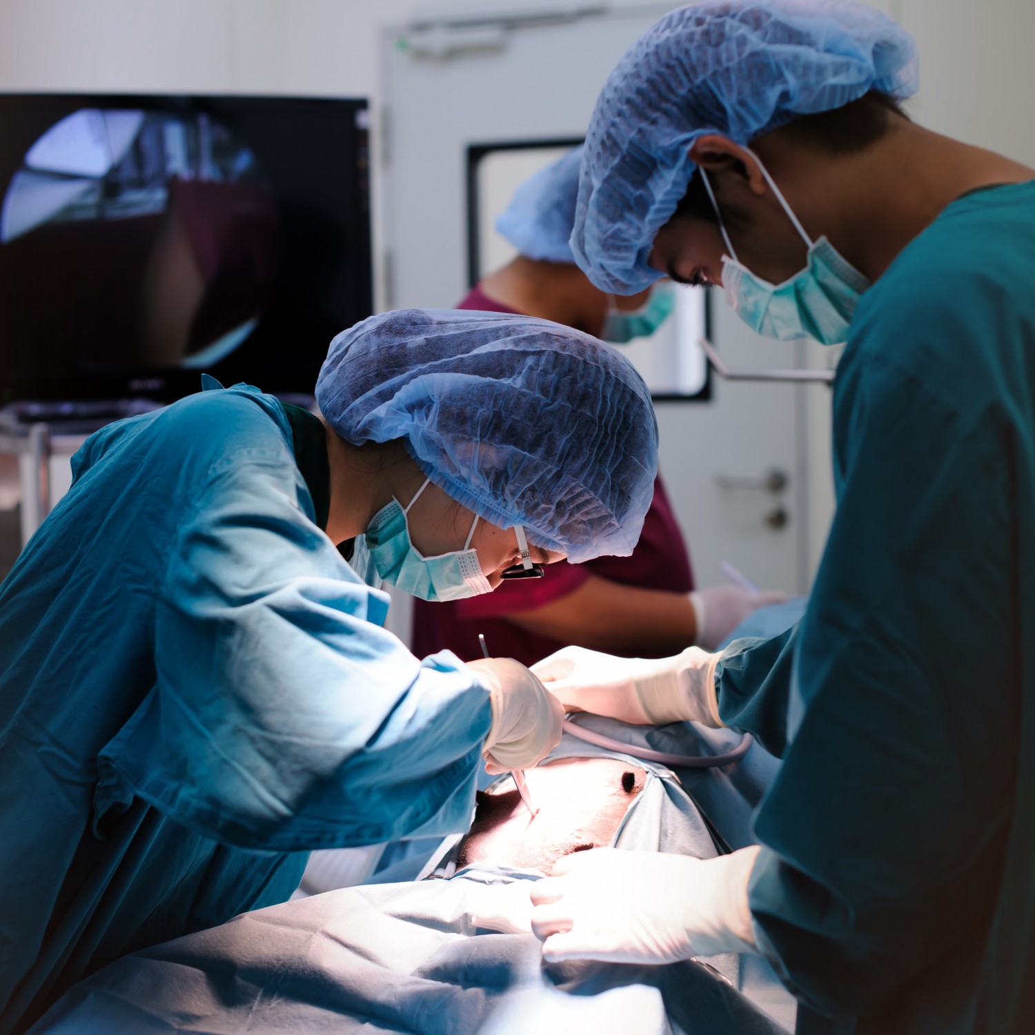 Veterinarians Performing Surgery